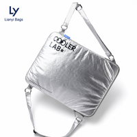 Sliver coated Laptop backpack with Soft Lining